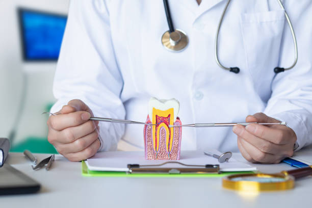 Best Emergency Dental Care for Abscessed Tooth in Iroquois Point, HI